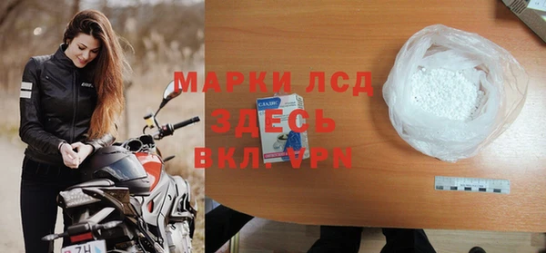стафф Аркадак