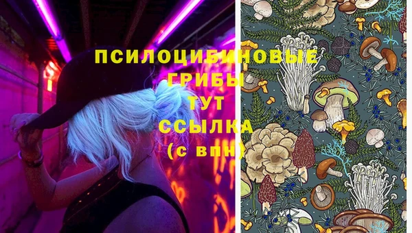 Альфа ПВП Балабаново