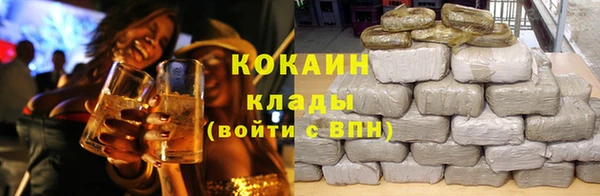 гашик Арсеньев