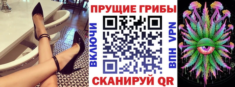Купить  Дмитровск  Галлюциногенные грибы прущие грибы 